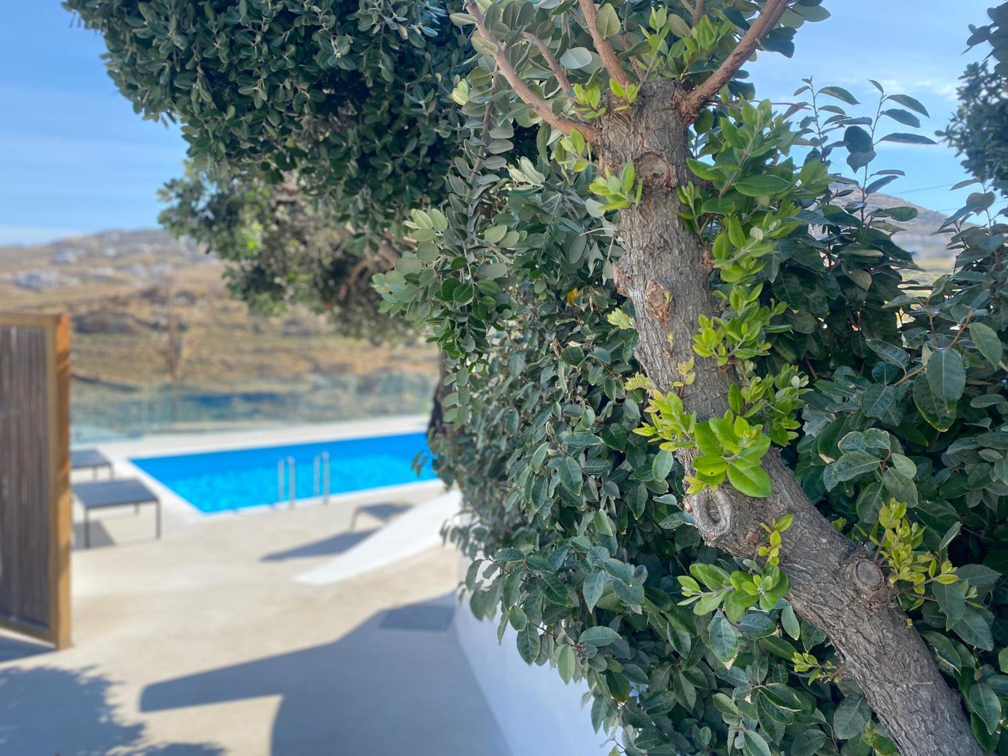 Ftelia Beach Paradise - Villa Irina'S Oasis Dış mekan fotoğraf